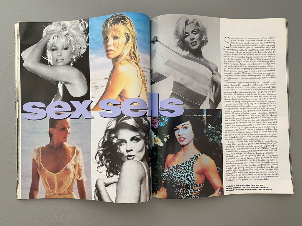 Scenes from My Lifestyle as a Intercourse Writer — SUSANNAH BRESLIN