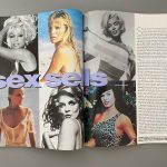 Scenes from My Lifestyle as a Intercourse Writer — SUSANNAH BRESLIN