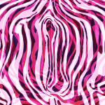 My Misplaced Vagina — SUSANNAH BRESLIN