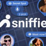 Sniffies: Map-Based mostly Gay Hookup System